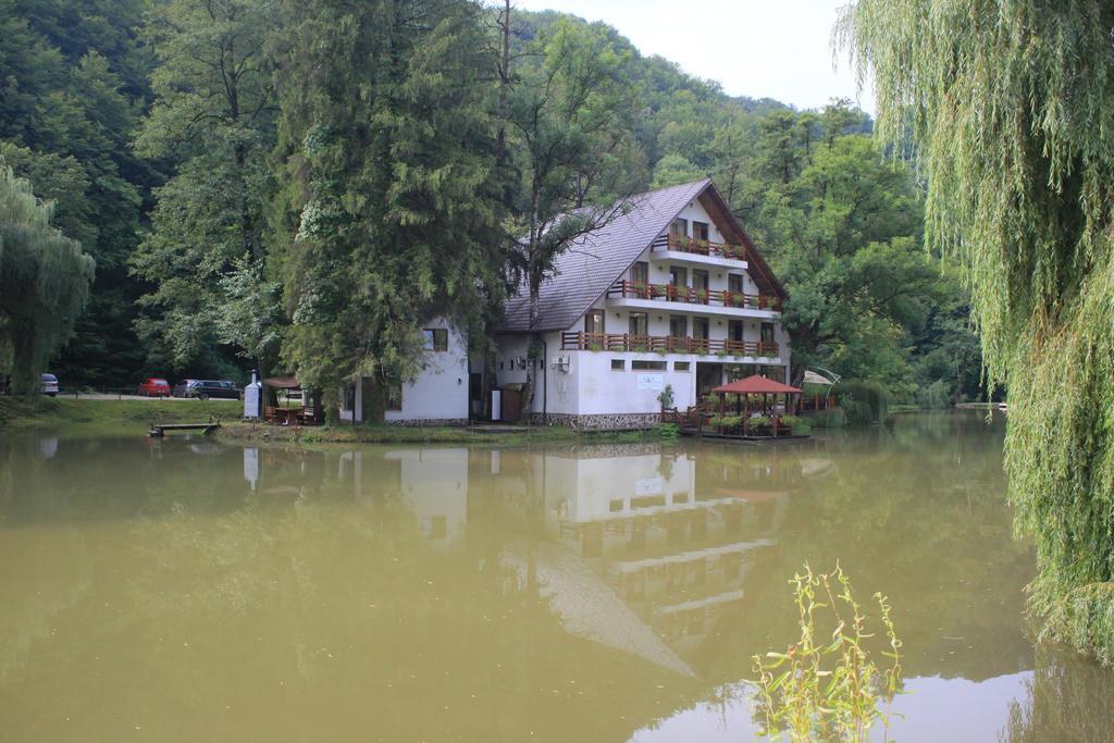 Guest House Lacul Linistit Moneasa Ruang foto
