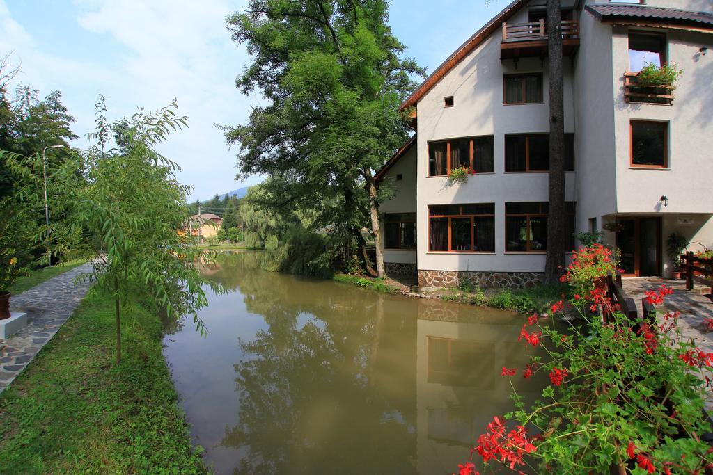 Guest House Lacul Linistit Moneasa Bagian luar foto