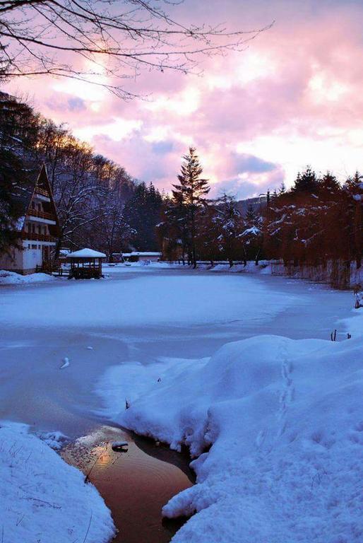 Guest House Lacul Linistit Moneasa Bagian luar foto
